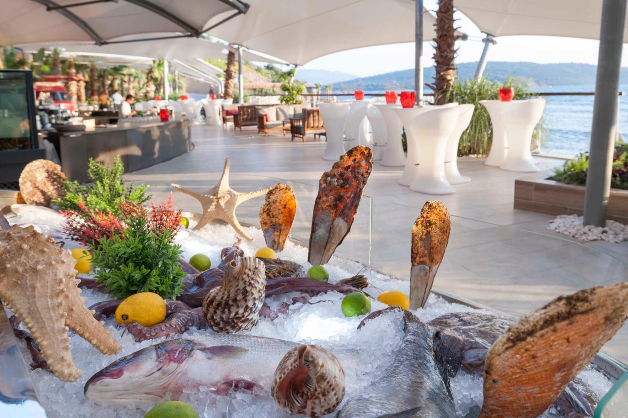 Bogazici Le Meridien Bodrum Beach Resort מראה חיצוני תמונה